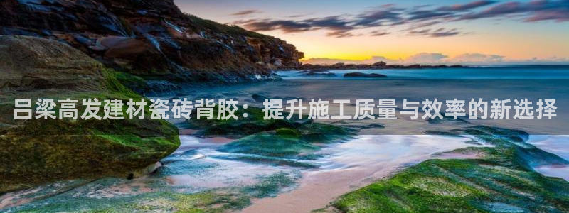 杏鑫平台注册入口在哪里找