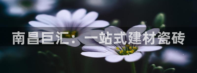 杏鑫平台广7O777