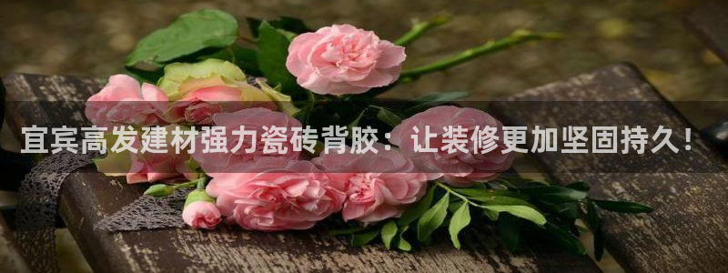 杏鑫娱乐官方网站客户端