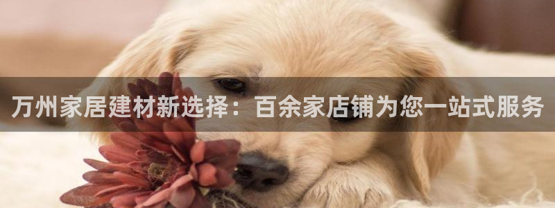 杏鑫平台注册地址在哪里