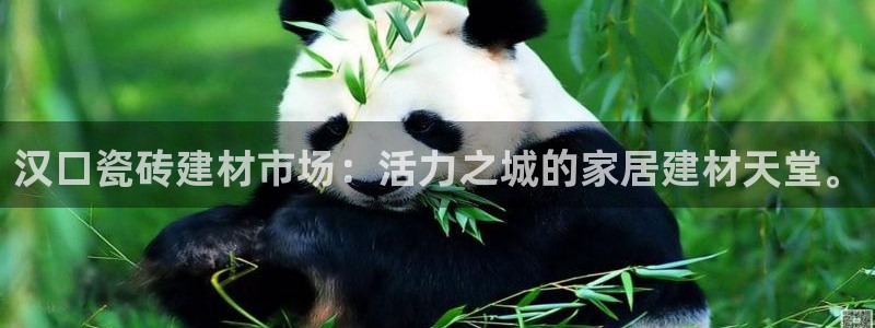 杏鑫娱乐平台测速怎么样