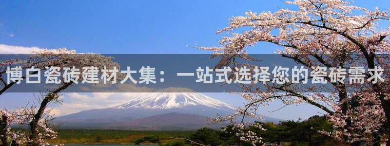 杏鑫注册平台官方网站是什么