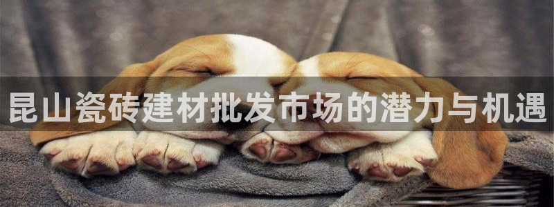 杏鑫平台正规吗