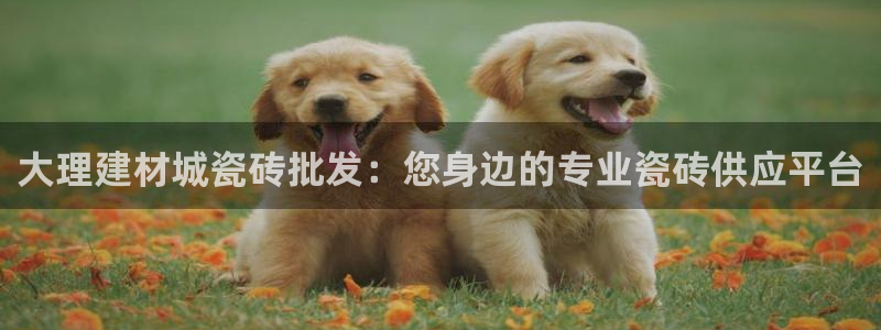 杏鑫娱乐官网