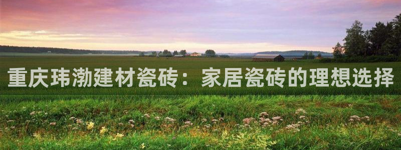 杏鑫平台是黑平台吗