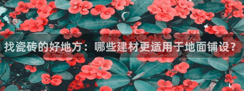杏鑫平台注册网址是多少