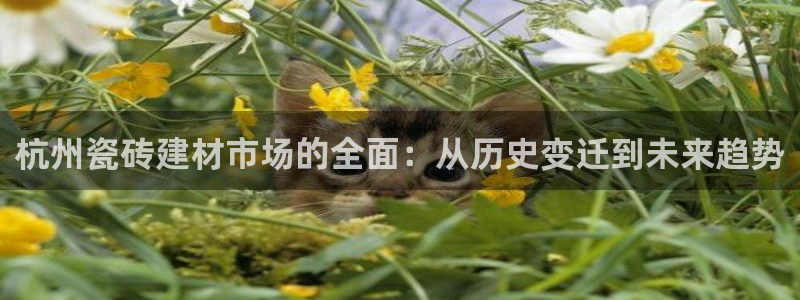 杏鑫平台注册网址是多少