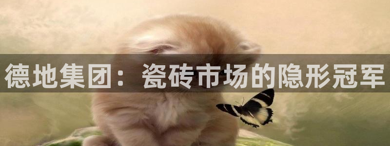 杏鑫平台注册登录