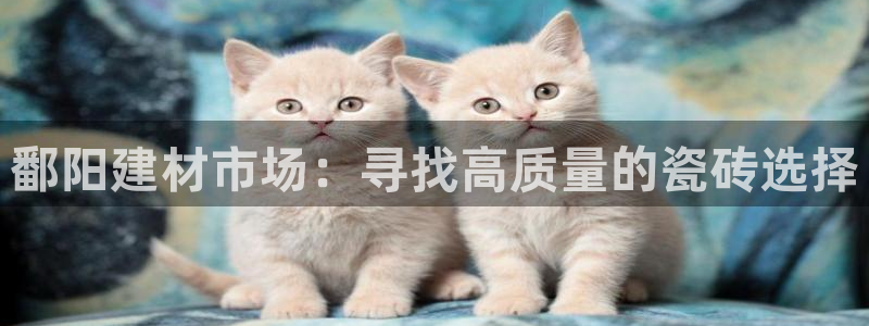 杏鑫平台注册地址是哪里