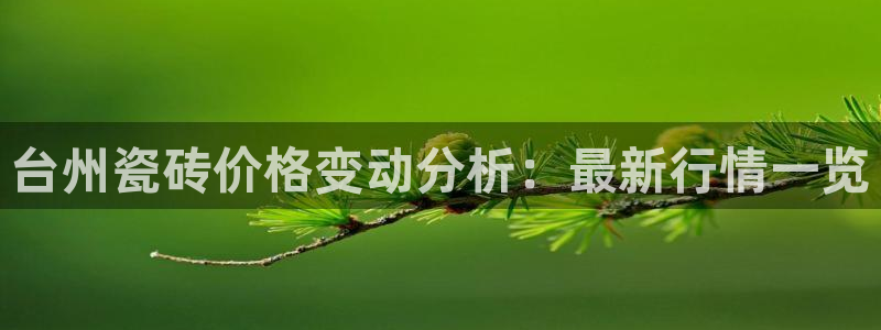 杏鑫官方app代理