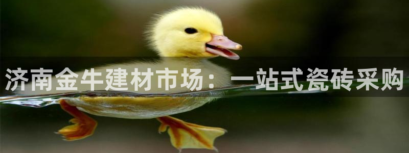 杏鑫平台代理注册