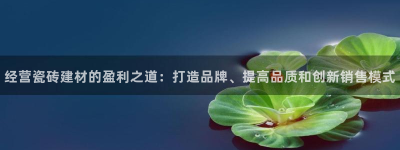 杏鑫官方平台怎么样