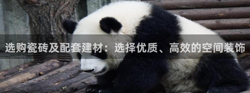 杏鑫娱乐官网登录