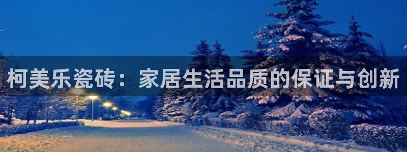 杏鑫平台代理注册登录不了怎么办呀视频