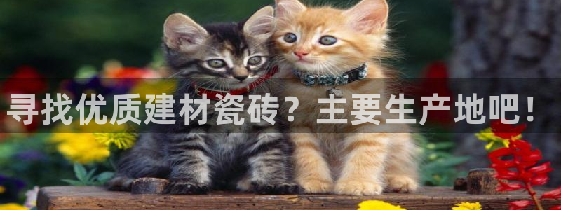 杏鑫平台怎么样黑钱吗安全吗