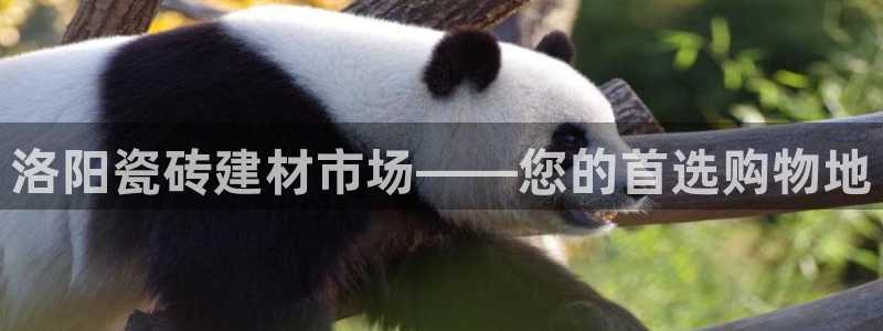 杏鑫娱乐平台登录