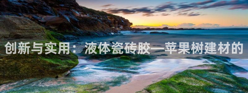 杏鑫平台注册网址是什么