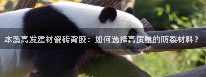 杏鑫娱乐官方网站客户端