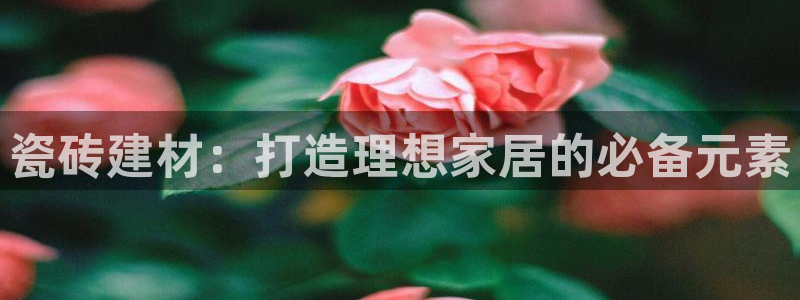 杏鑫平台平台娱乐