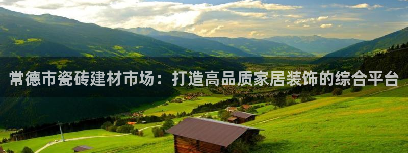 杏鑫娱乐开发团队