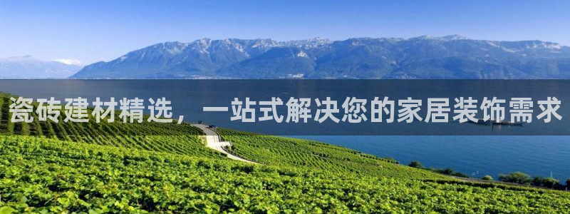 杏鑫有亏损返点吗