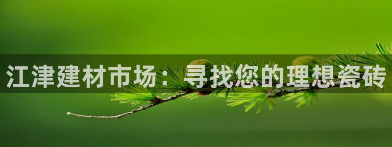 杏鑫平台正规吗是真的吗