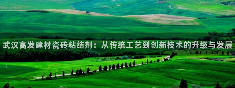 杏鑫官方app代理