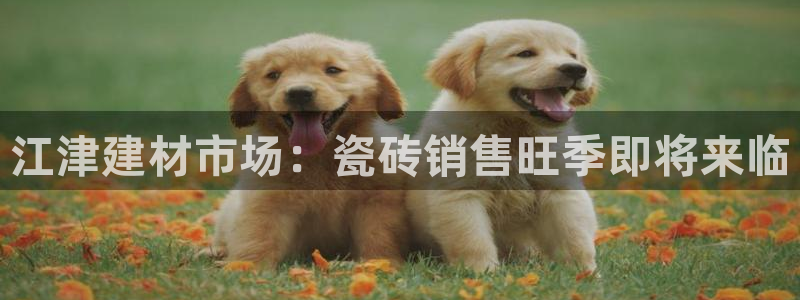 杏鑫平台平台娱乐怎么样