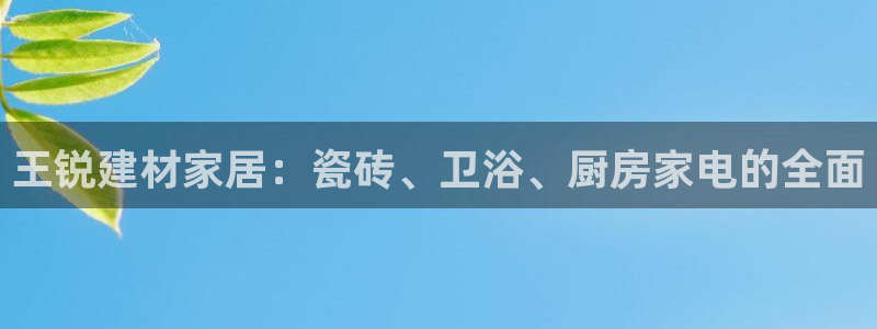 杏鑫官网注册账号是什么样的