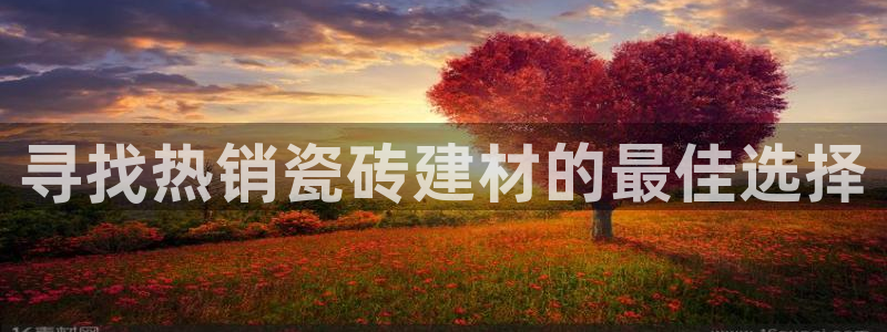 杏鑫平台登录地址查询