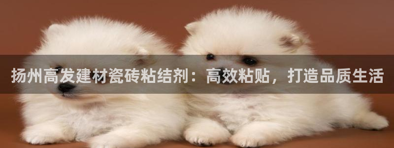 杏鑫平台注册地址在哪里