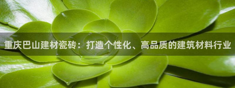 杏鑫平台注册网址是多少