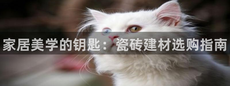 杏鑫注册登录地址