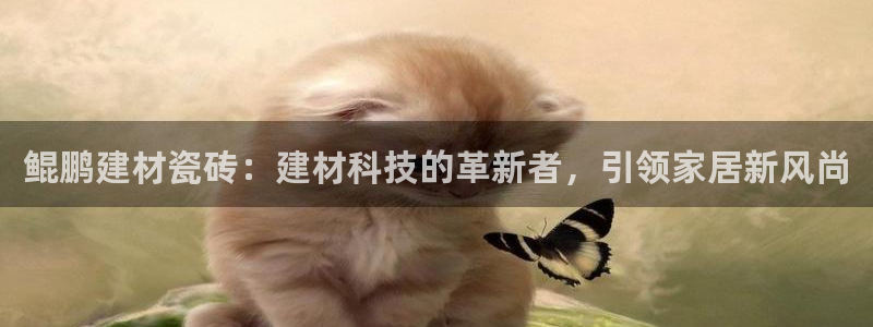 杏鑫平台号7O777