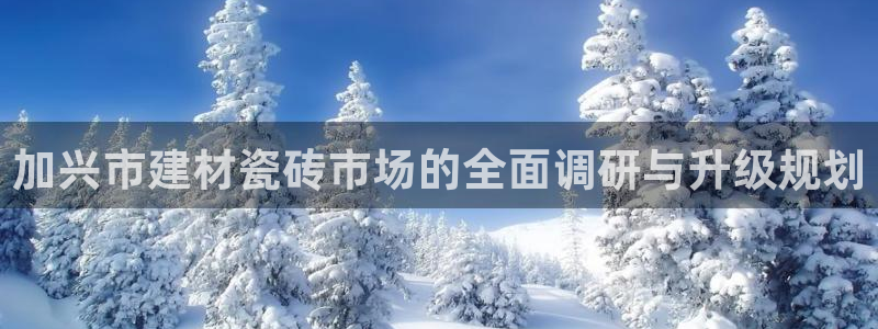 杏鑫平台官方网站