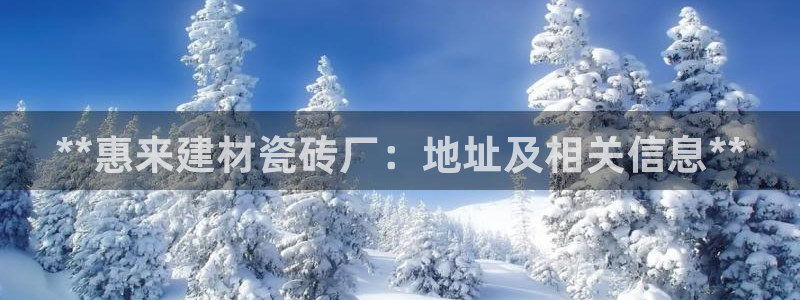 杏鑫娱乐是合法的吗?