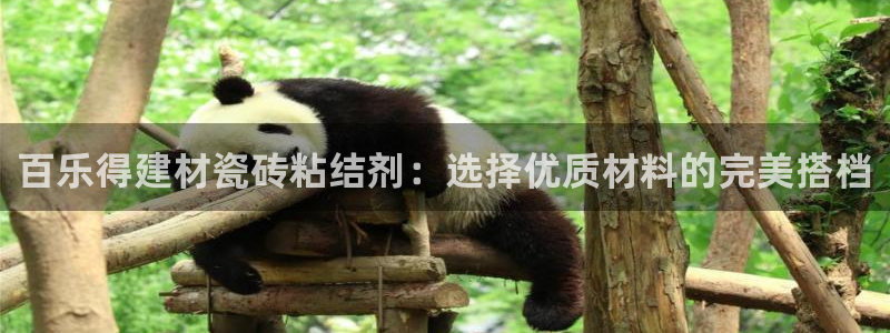 杏鑫官网注册账号