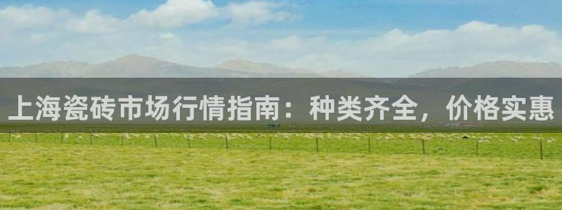 杏鑫娱乐多少年了