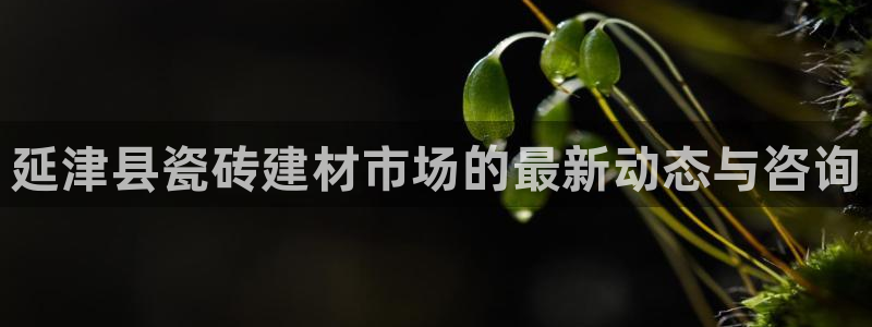 杏鑫注册登录平台是什么