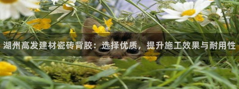 杏鑫平台靠谱吗