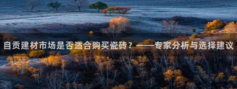 杏鑫平台招商怎么样啊