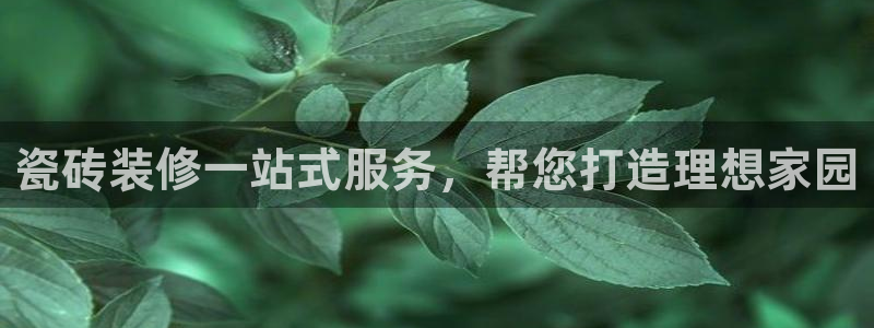 杏鑫官方平台怎么样