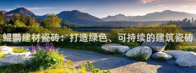 杏鑫平台代理注册多少钱