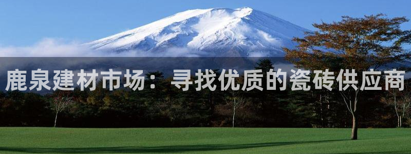 杏鑫平台代理怎么样赚钱