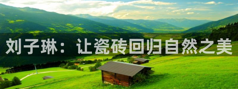 杏鑫平台代理注册流程及费用