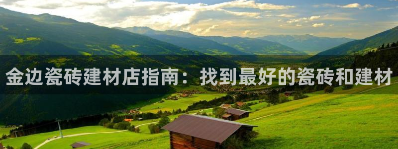 杏鑫官方平台怎么样啊