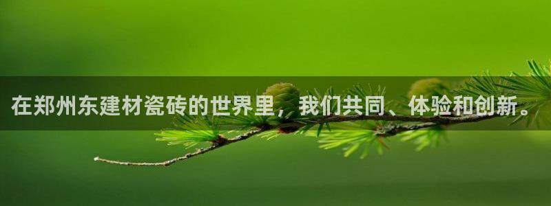 杏鑫平台注册网址是什么