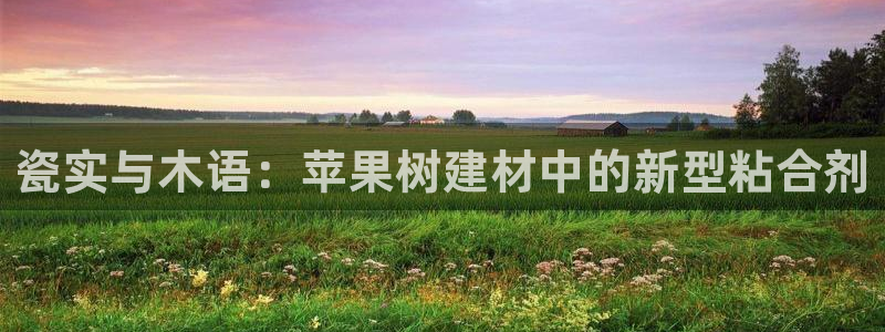 杏鑫娱乐官方网站客户端