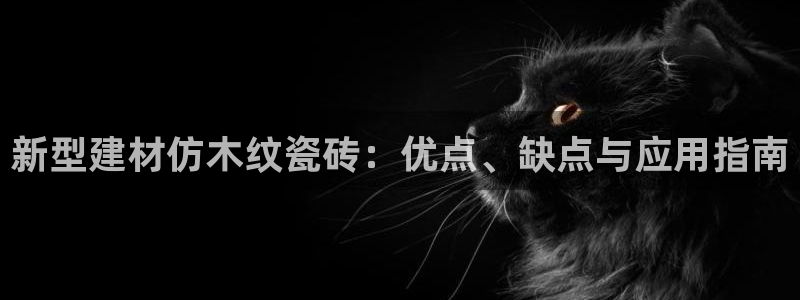 杏鑫平台登录地址是什么