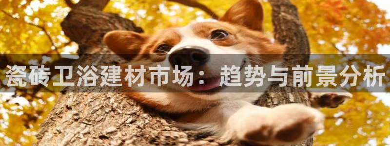 杏鑫平台怎么样知乎